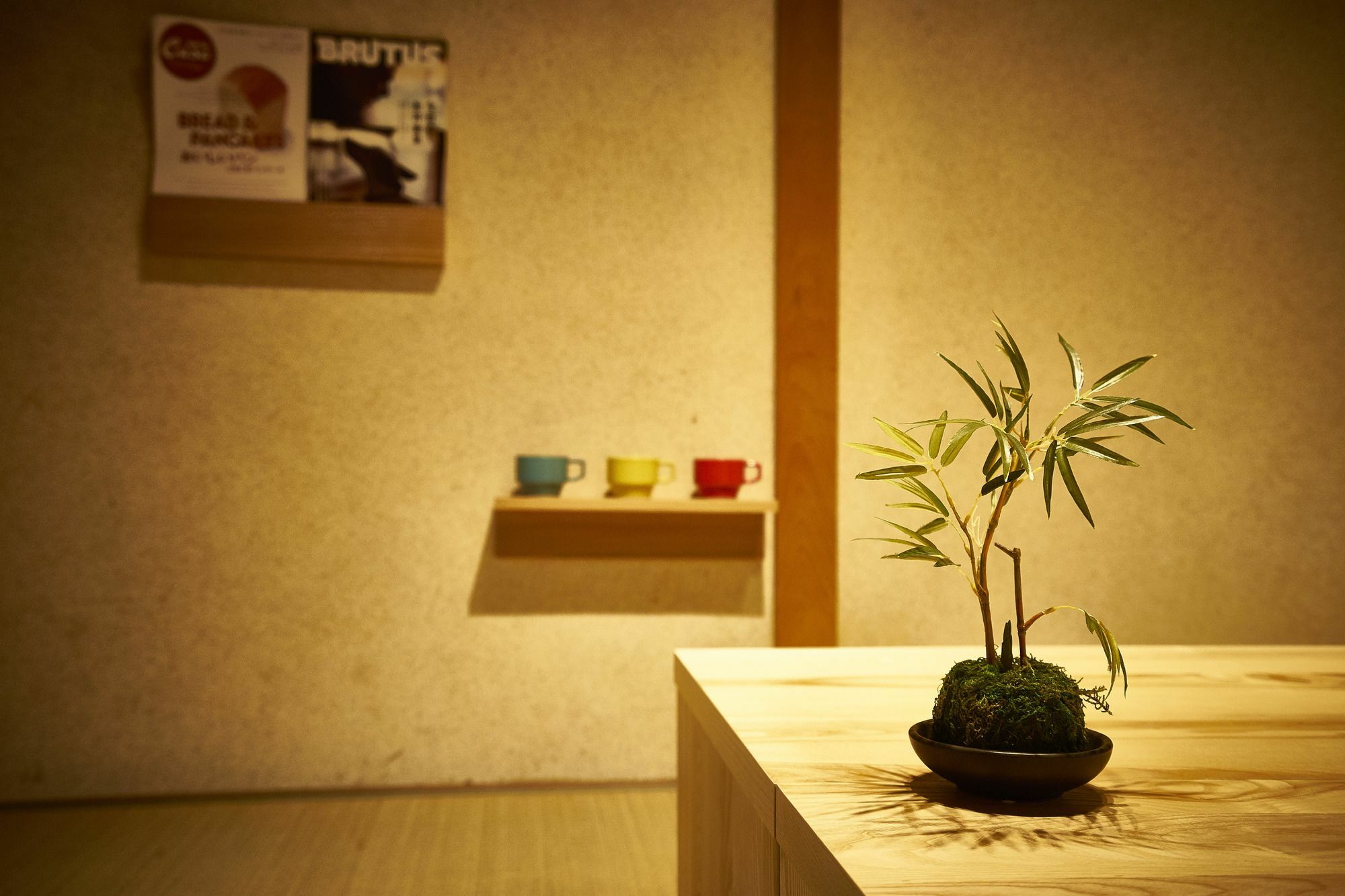 Miyanoan Villa Kyoto Buitenkant foto